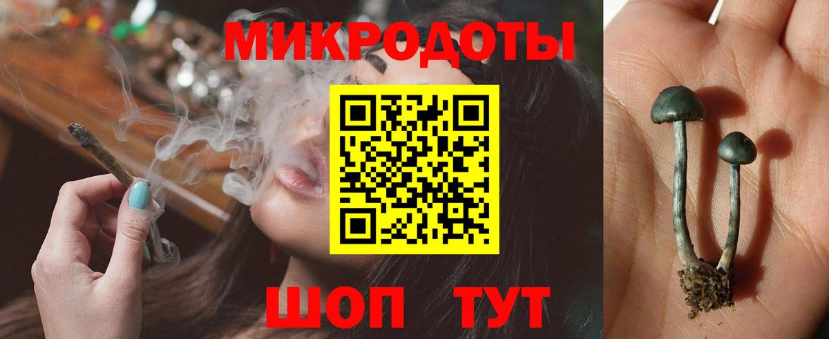 Королёв  Псилоцибиновые грибы Magic Shrooms  Вход с VPN 