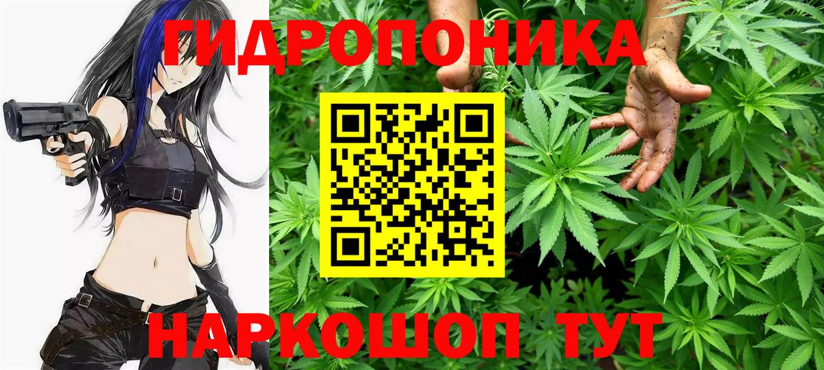 Конопля сатива  Марихуана White Widow  Вход с VPN  Королёв  Конопля MAZAR 